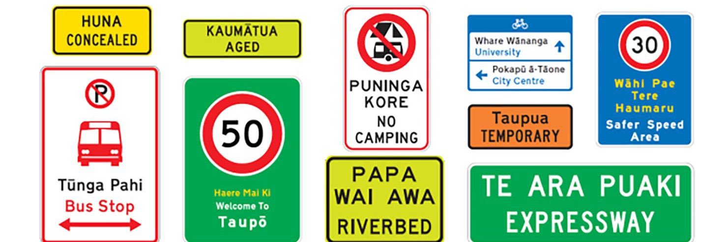 🇳🇿 𝘼𝙊𝙏𝙀𝘼𝙍𝙊𝘼 𝘼𝙀𝙎𝙏𝙃𝙀𝙏𝙄𝘾𝙎 🇳🇿's banner