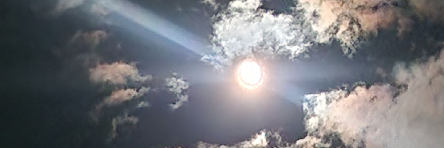sex et les mystérieux coquins's banner