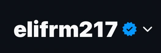 elifrm10hunnit's banner