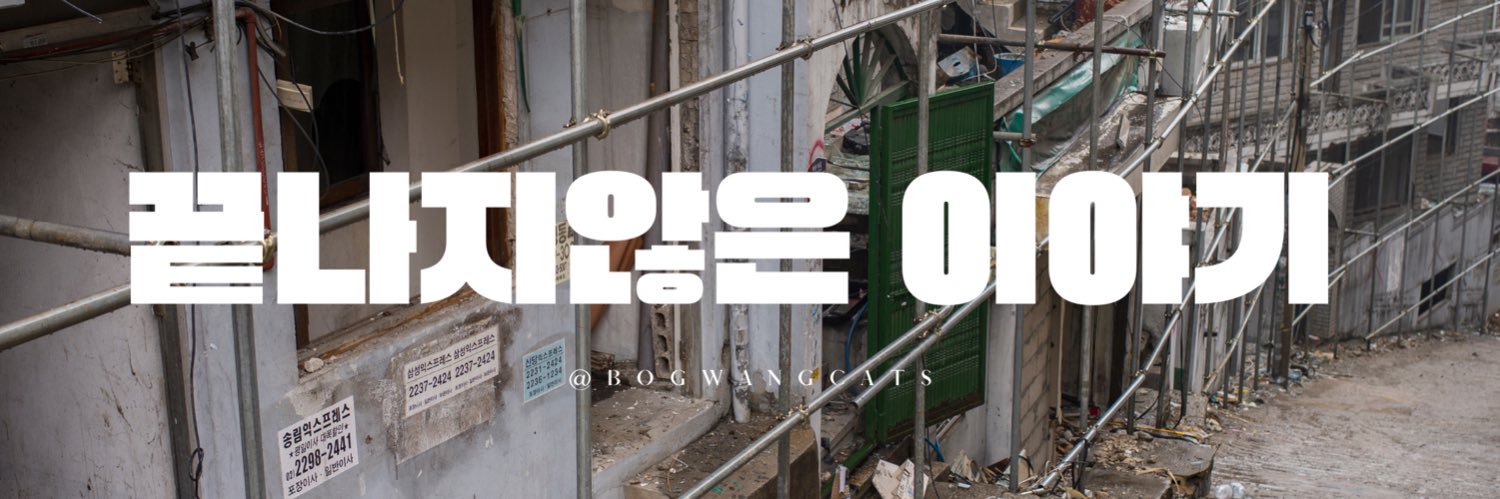 보광동 고양이들's banner
