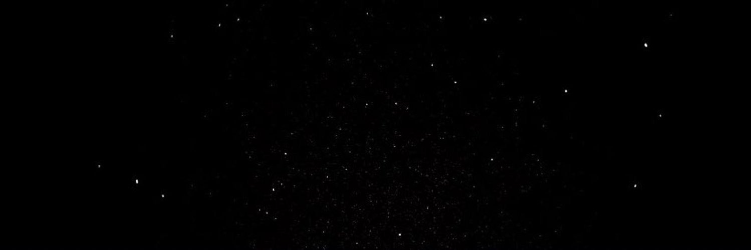 Nina's banner