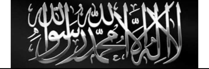 Taimoor Hussain Mughal's banner