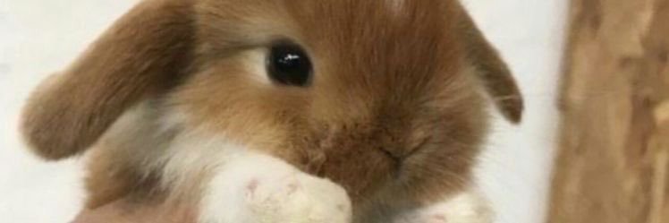 nova ⋆˙⟡'s banner