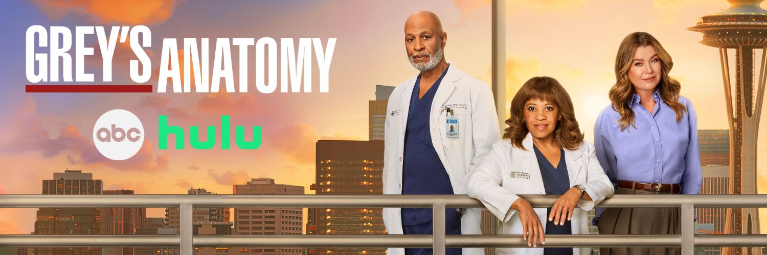 Grey's Anatomy's banner