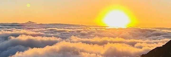 🌸फुलु🌸's banner