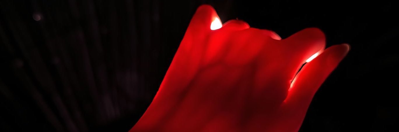 不知名女网红's banner