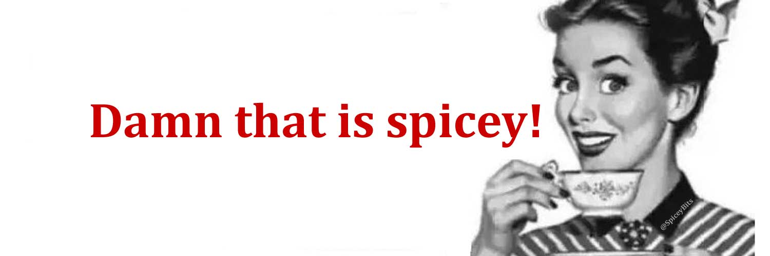 Spicey Bits's banner