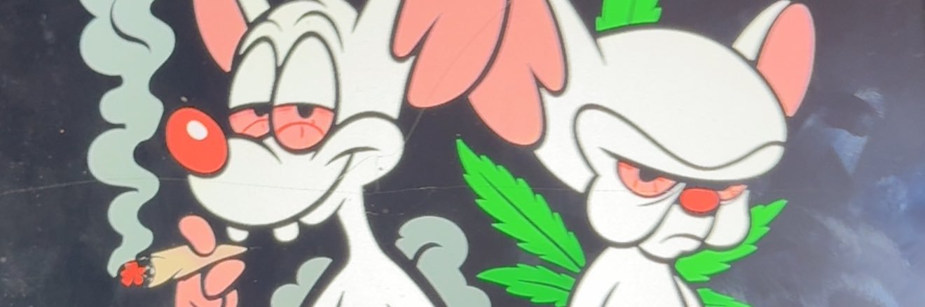 HARD BRAIN 🧠 STRAIN 🌳's banner