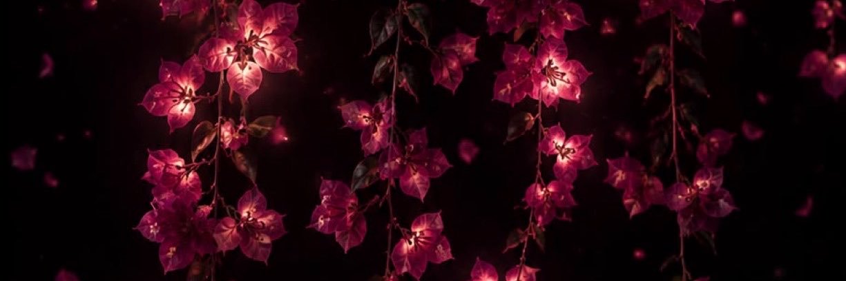 Nickole 𐙚⋆˚✿˖°'s banner