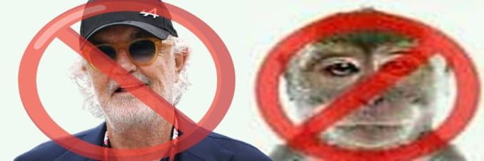 gigi's banner
