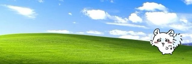 kior 🍀's banner