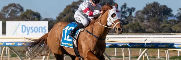 Lunar & Sunny 🐴's banner