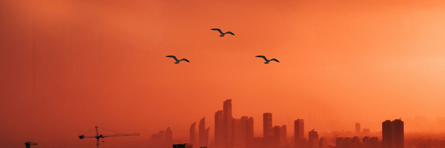 RED's banner