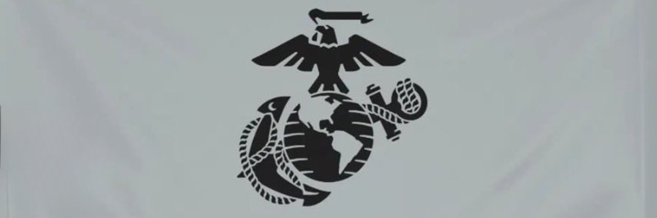 Kiera Force's banner