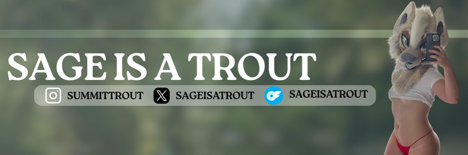 Trout's banner