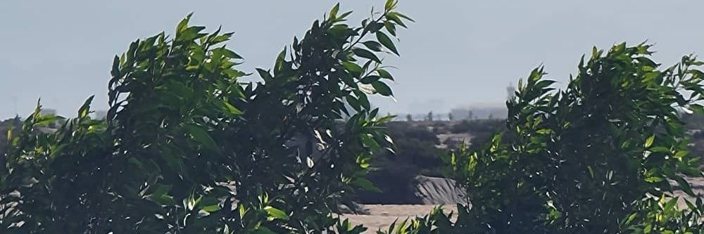 عبدالعزيز محمد's banner