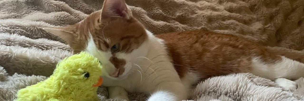 キャロライン's banner