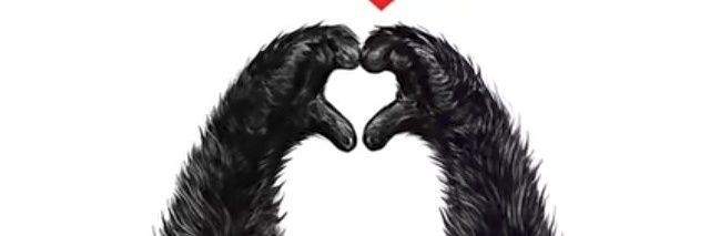 sofystrans's banner