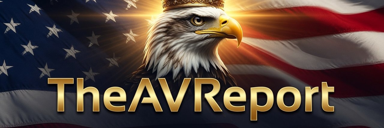 TheAVReport's banner