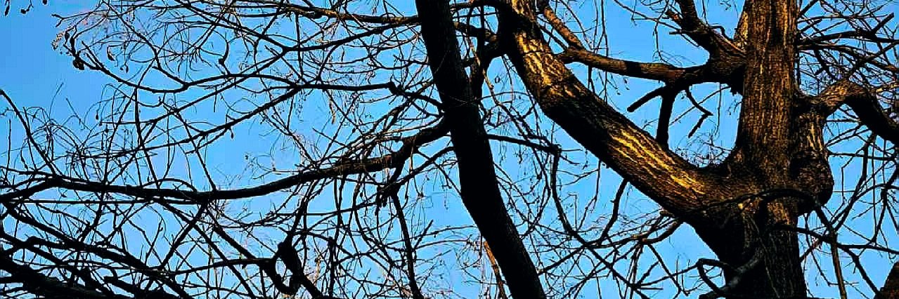 凡躁（手机丢了不更新音频版）'s banner