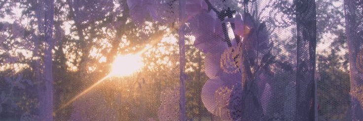 Taspia ౨ৎ's banner