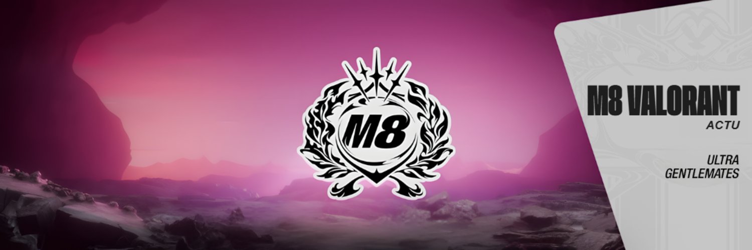 M8 Valorant's banner