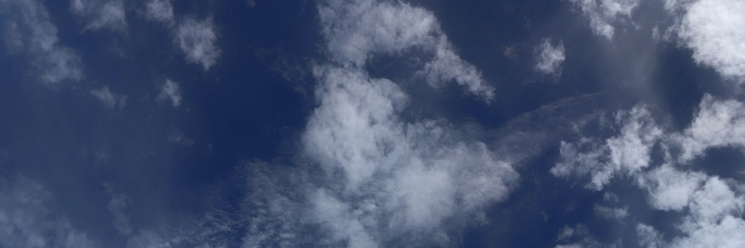 🐻 🇨🇱's banner