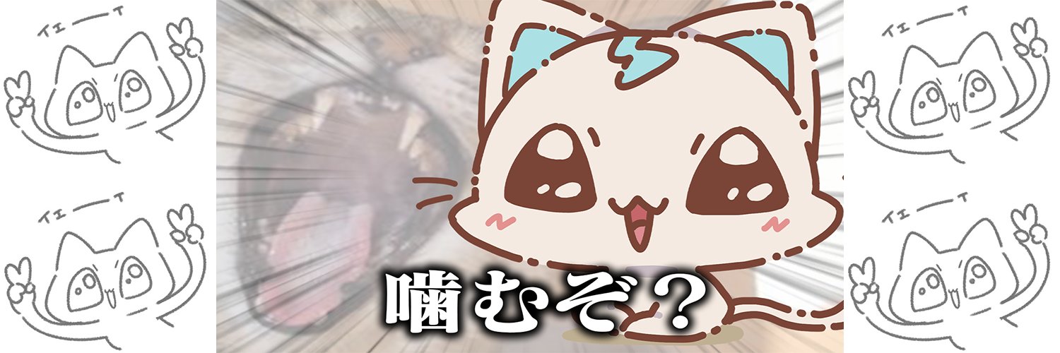 しののめだ🐾🩵's banner