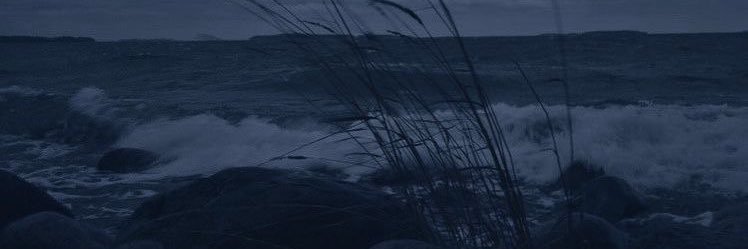 w8ve ꩜'s banner