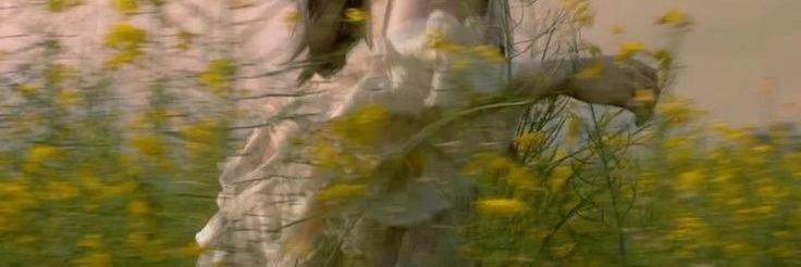 白鹿🍃's banner