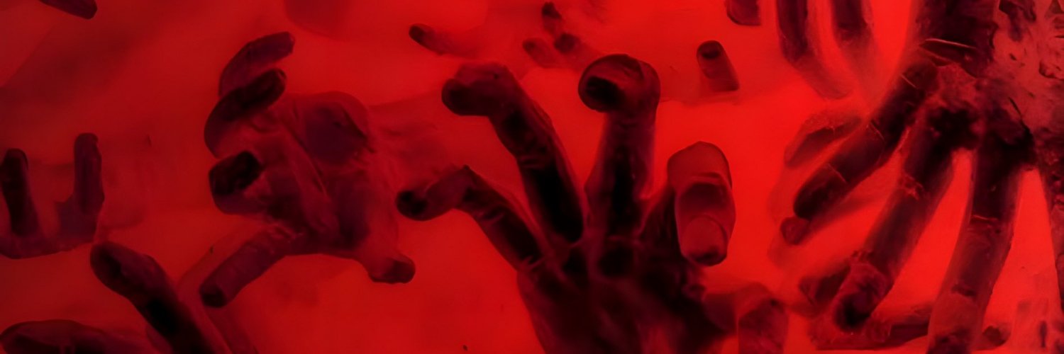 💦❄️🅱️_ČooĽ🧊💨's banner