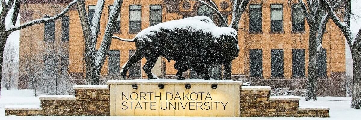 Bison Football Chronicles's banner