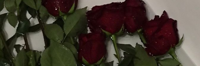 Velvet🍷's banner