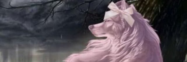 FanatiqueGirl's banner