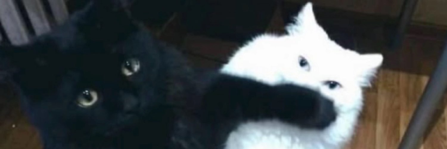 FanatiqueGirl's banner