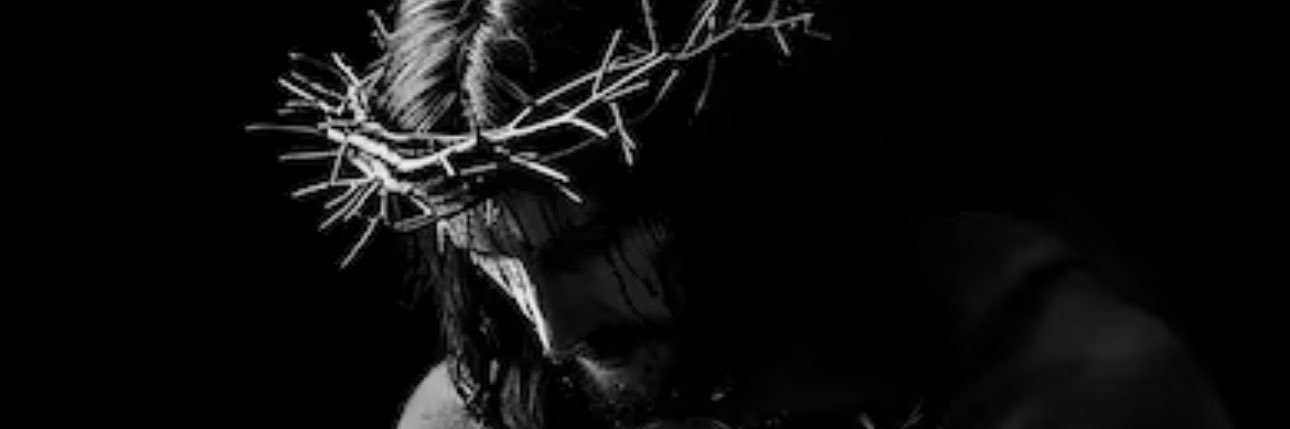BlondedMMA's banner