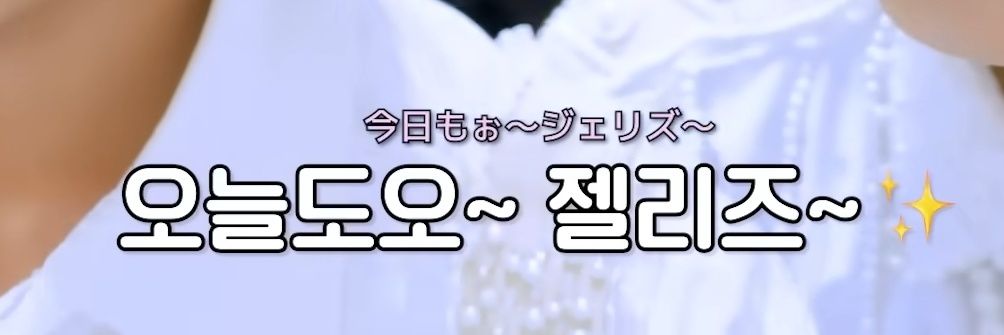 댕쿨 아카이브's banner