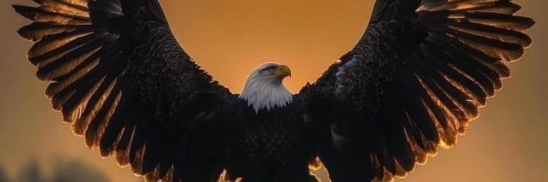 PAMO🦅⚡'s banner