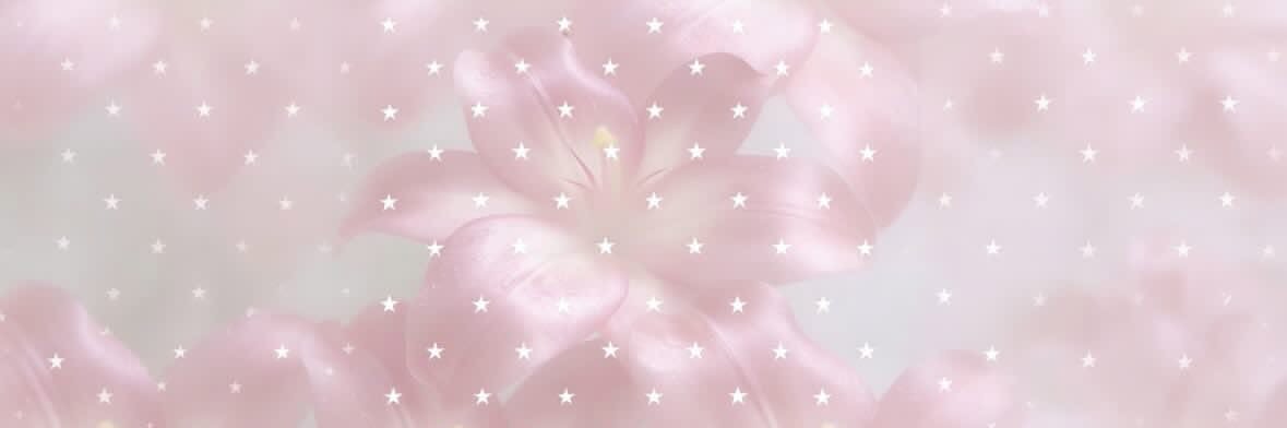 roro 💭's banner