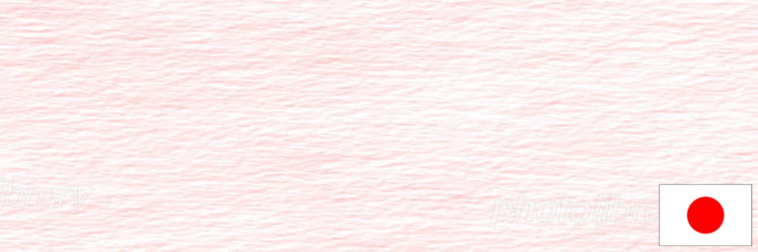ちゃんほた🌸's banner