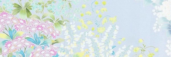 ちゃんほた🌸's banner