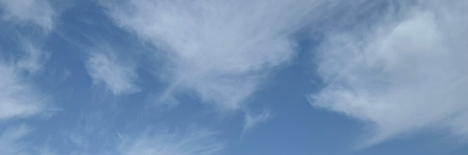 Trkee's banner
