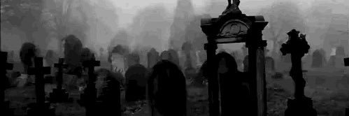 ⵣ📚ྀིྀིྀིྀིྀི's banner