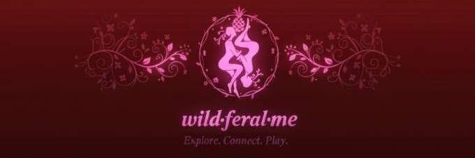✨Jozie_is_Wild✨'s banner