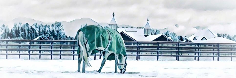 JBBA stallions's banner