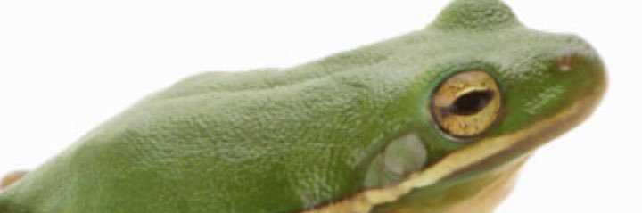 Osakpolor55's banner