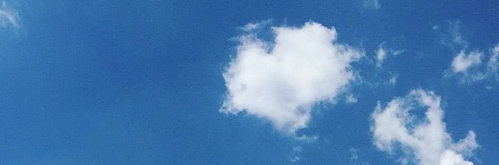 Daniel 🌟's banner