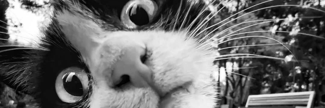 Γιατί?'s banner