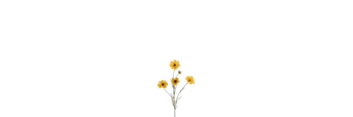 شوق's banner