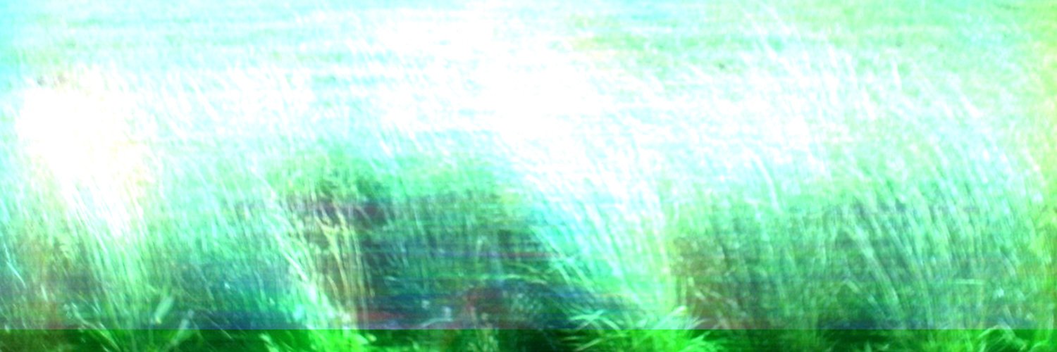 Krovee's banner